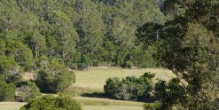 Farm View Horse Riders Cabin Accommodation Port Macquarie Hinterland NSW Australia