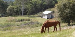 Studio Cabin Horse Riding Farm Holiday Australia NSW