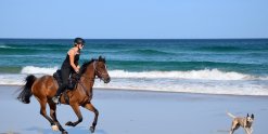 Beach Horse Riding Australia NSW