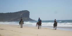 Small Group Horse Riding Beaches NSW - Horse Treks Australia