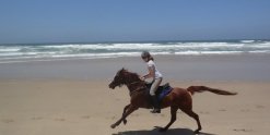 Riding Arabian Horse On NSW Australian Beach 