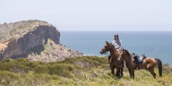 Beach Horse Ride To The Headland NSW - Horse Treks Holidays Australia