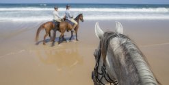 Beach Horse Riding NSW North Coast - Southern Cross Horse Treks Australia