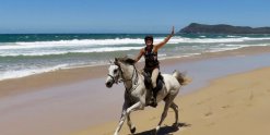Horse Riding NSW Australia Beaches