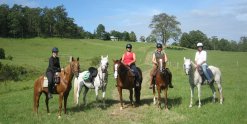Farmland Horse Riding Treks, Port Macquarie Hinterland NSW Australia
