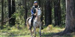 Jimmy - Horse Riding Holidays Australia Corindi Endurance Ride NSW 