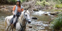 Manni - Arabian Trail Horse At Southern Cross Horse Treks Australia Adventure Holidays
