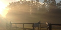 Winter Horse Riding Farm Holidays Australia