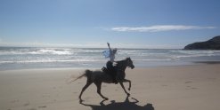 Happy Horse Rider Wave Cantering On The Beach Ride East Coast Australia