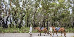 Horse Riding Holidays Beach Ride NSW - Horse Treks Australia