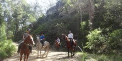 Mountain Horse Treks Australia Intermediate To Advanced Riders NSW North Coast, North Of Sydney