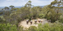 Horse Riders On Comboyne Mountain, Horse Riding Holidays Australia