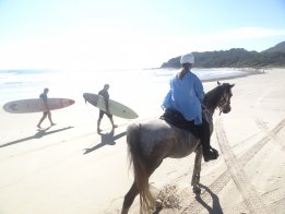 Horse Rider Meets Australian Surfers On The NSW Beach Ride