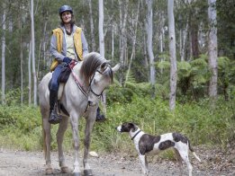 Horse Riding Port Macquarie NSW - Horse Treks Australia