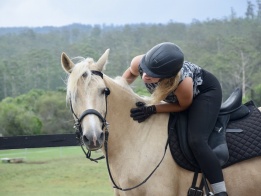 Austraian Brumby Horse Riding Holidays