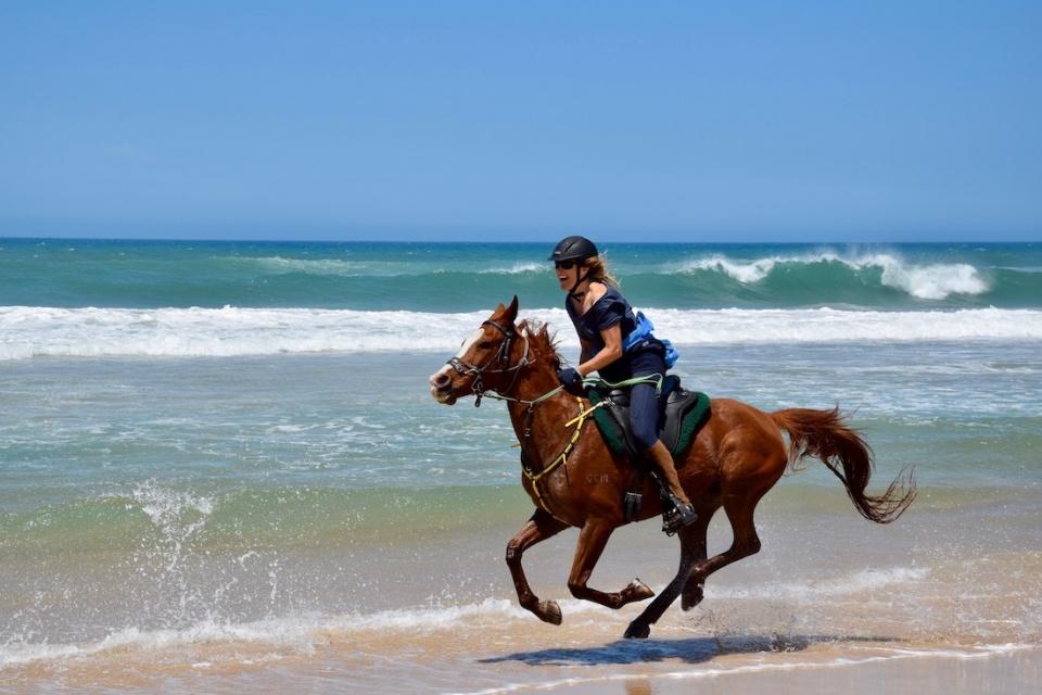 horse tours beaches