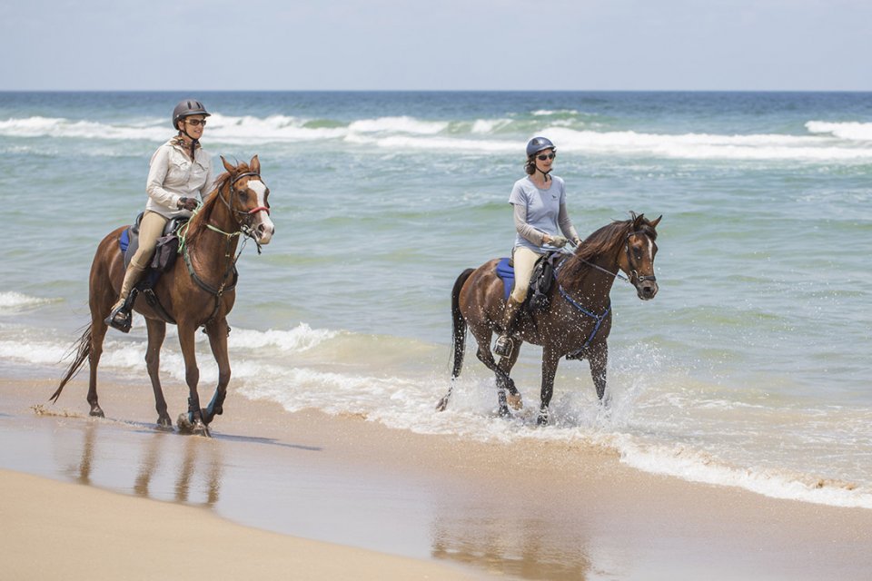 horse tours on the beach