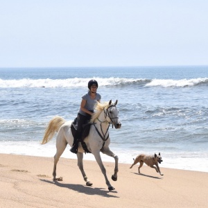 Horse Beach Riding Vacation NSW Australia
