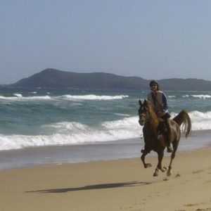 Beach Horses Holidays Australia NSW