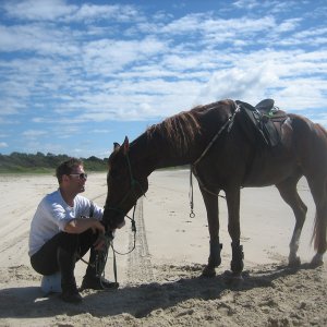 Charlie - Horse Riding Holidays Australia Port Maquarie Beaches NSW