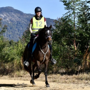 Endurance Riding NSW Australia (PC:Animal Focus)