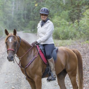 Kamal - Horse Riding Holidays For Experienced Riders Port Macquarie Hinterland NSW Australia