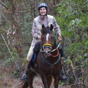 Kuta - Horse Treks Australia Endurance Horse Riding NSW