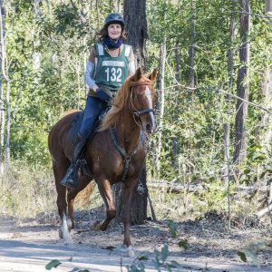 Endurance Trained Trekking Horses NSW Australia