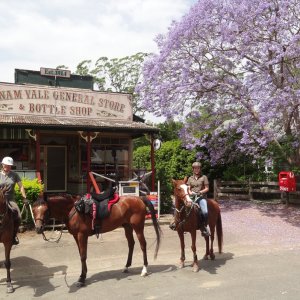 Horse Riders Stop for Lunch At Hannam Vale Store