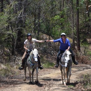Comboyne Mountain Horse Treks Australia NSW Adventure Tours