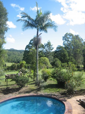 Native Australian Gardens And Pool Horse Riding Holiday NSW