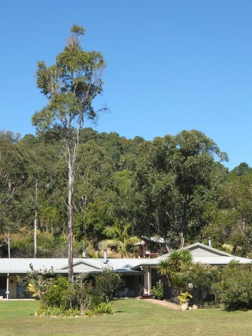 Private Guest Wing And Cabin Accommodation Australian Horse Holidays