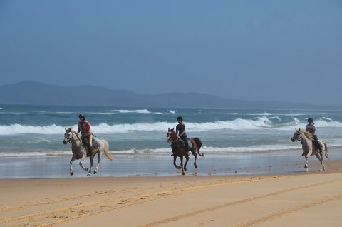 Horse Riding Port Macquarie Beaches NSW Australia For Experienced Riders