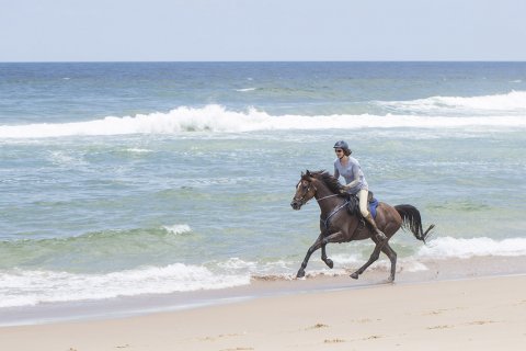 Horse Riding NSW Beaches Australia - Adventure Holidays