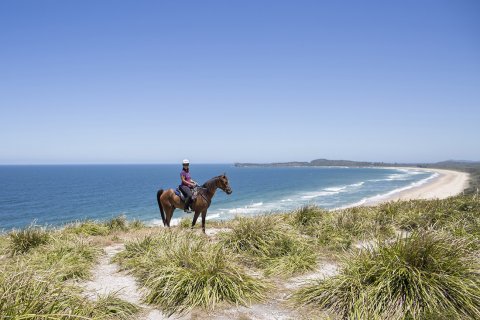 Beach Headland Horse Riding Trek NSW Mid North Coast North Of Sydney Australia