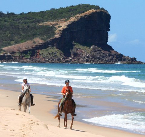 Horse Beach Riding Holidays NSW - Southern Cross Horse Treks Australia
