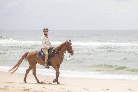 Horse Riding Holidays NSW Beaches - Southern Cross Horse Treks Australia