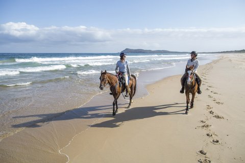 Late Afternoon Summer Horse Beach Ride Trek NSW Australia