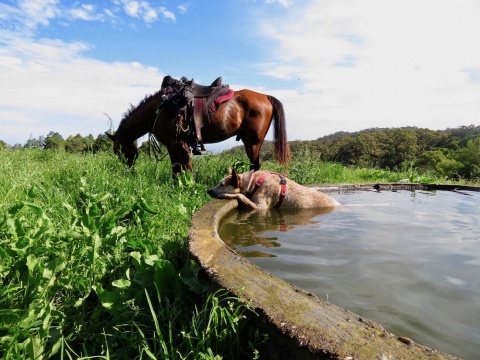 Australian Horse Trekking Adventures