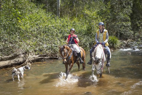 Creek At Swans Crossing Horse Riding Tours NSW North Coast