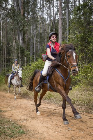Gallop Through Kerewong State Forest Australian Horse Riding Holidays 