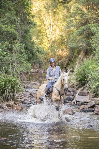 Creek Crossing Horseback Riding Tours Port Macquarie Hinterland NSW