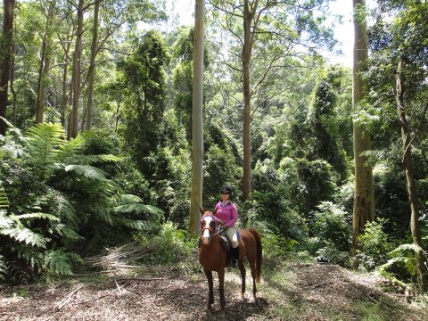 Australian Horse Riding Holiday Tours Bush Trail Rides NSW Australia