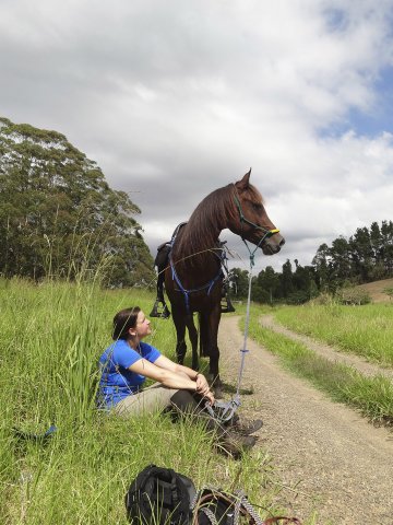 Horse Rider Resting With Arabian Horse At Comboyne - Port Macquarie Hinterland NSW Australia