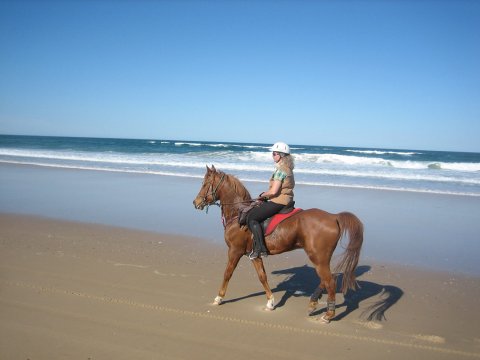 Kamal - Horse Riding Port Macquarie Beaches NSW - Horse Treks Australia
