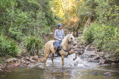Finesse - Horse Riding Holidays Australia Port Macquarie Hinterland NSW