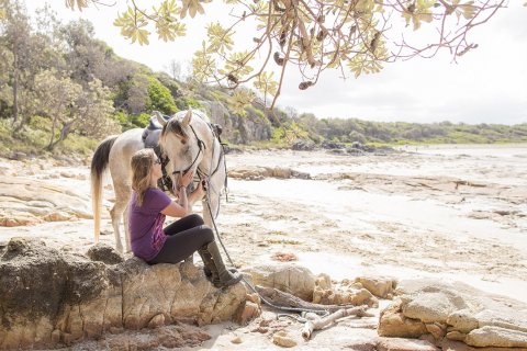 Jimmy - Horse Riding Adventure Holidays Australia Port Macquarie Beaches NSW