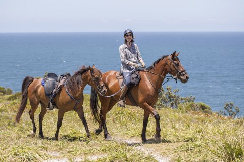 Nadal & Kuta - Multiday Adventure Horse Riding Holidays NSW Australia