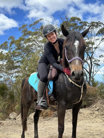 Partbred Arabian Trail Riding Horses NSW Australia