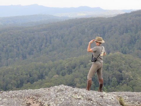 Comboyne Peak Lookout Stunning Australian Views